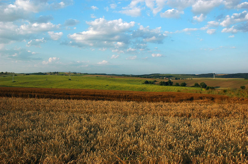 Kliknij aby powi�kszy� zdj�cie