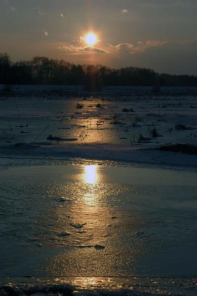 DSC_0065.jpg