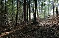 DSC_0025